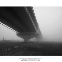 dailyPhoto27
