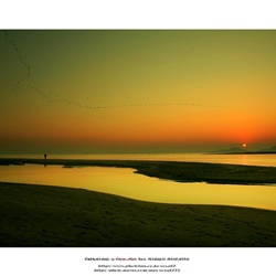 dailyPhoto6
