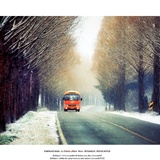 dailyPhoto1