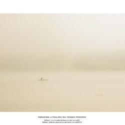 dailyPhoto14