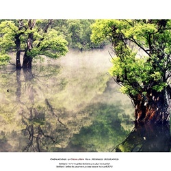 dailyPhoto38