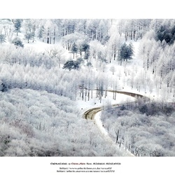 dailyPhoto8
