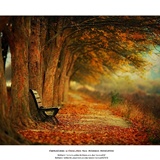 dailyPhoto12
