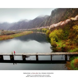 dailyPhoto10
