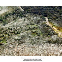 dailyPhoto10