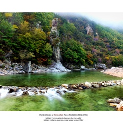 dailyPhoto10