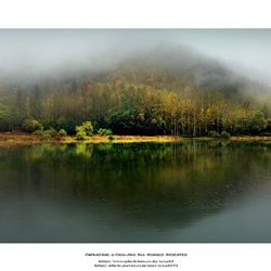 dailyPhoto35