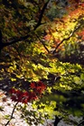 dailyPhoto24