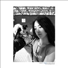 dailyPhoto3