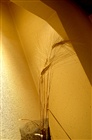 dailyPhoto5