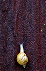 dailyPhoto40