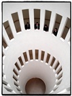 dailyPhoto40
