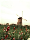 dailyPhoto12