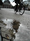 dailyPhoto12