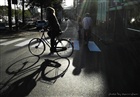 dailyPhoto7