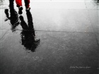 dailyPhoto31