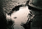 dailyPhoto15