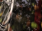 dailyPhoto17