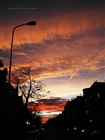 dailyPhoto8