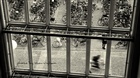 dailyPhoto13