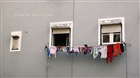 dailyPhoto5