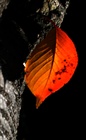 dailyPhoto27