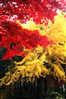 dailyPhoto3