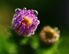 dailyPhoto23