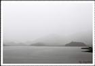 dailyPhoto10