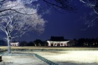 dailyPhoto10