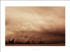 dailyPhoto9