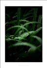 dailyPhoto22