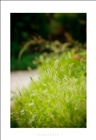 dailyPhoto25