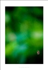 dailyPhoto10