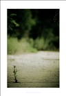dailyPhoto25
