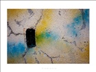 dailyPhoto7