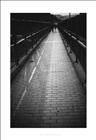 dailyPhoto8