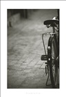 dailyPhoto29
