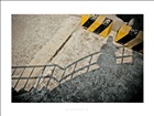 dailyPhoto40
