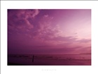 dailyPhoto4