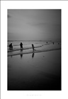 dailyPhoto36