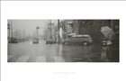 dailyPhoto8