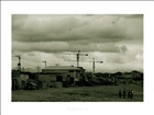 dailyPhoto4