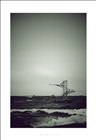 dailyPhoto2