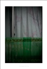 dailyPhoto7
