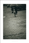 dailyPhoto11