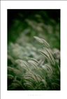 dailyPhoto26