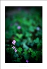 dailyPhoto1