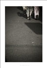 dailyPhoto18