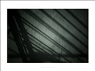 dailyPhoto13